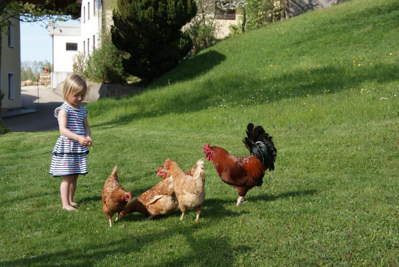 Ferienhof Edtmeier Zell am Moos Exteriör bild