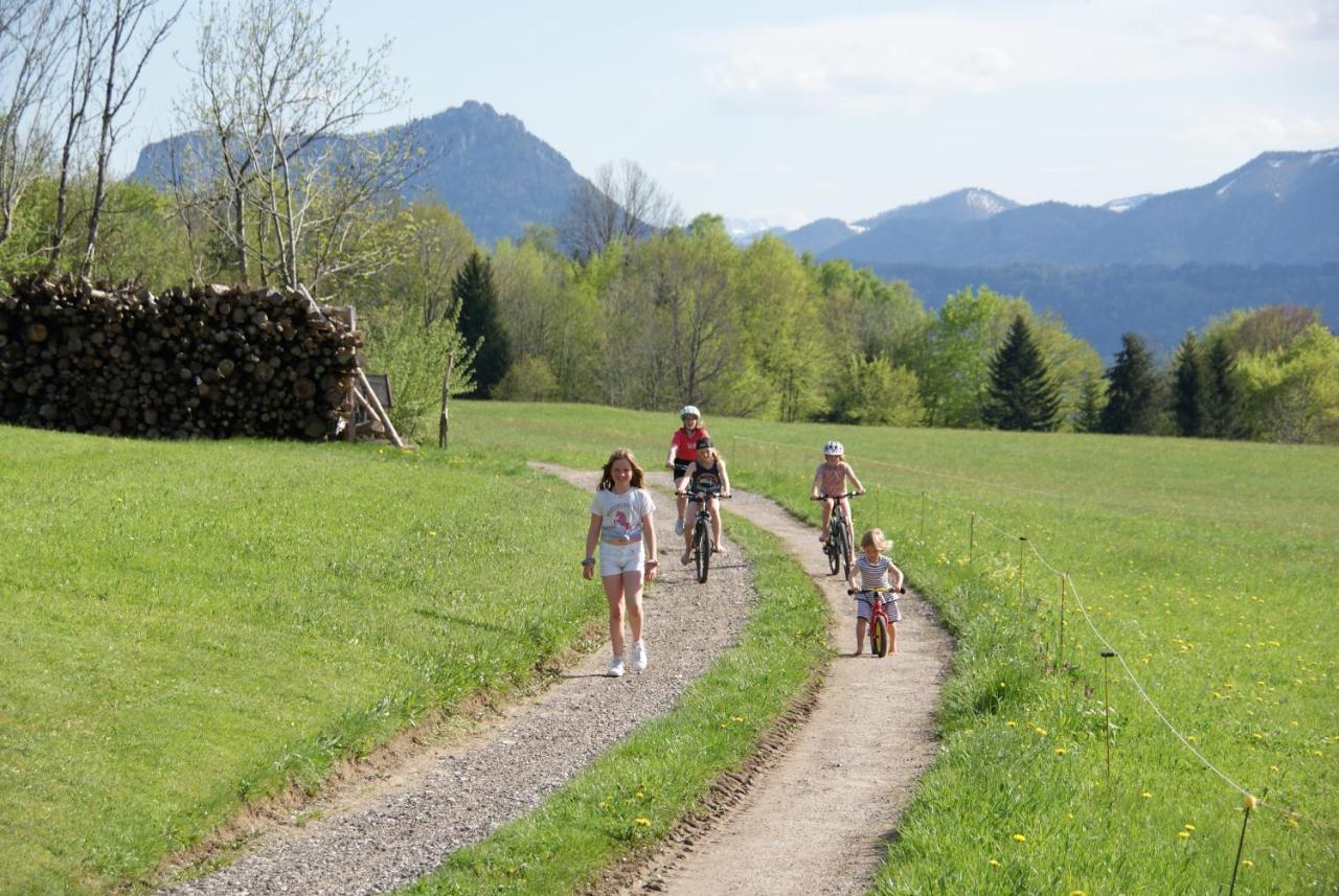 Ferienhof Edtmeier Zell am Moos Exteriör bild